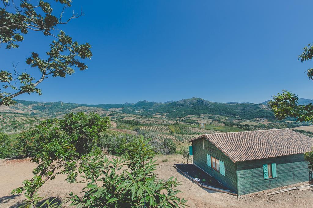 Gasthaus La Brizna Cañamero Zimmer foto